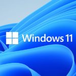 windows 11 y los equipos empresariañles